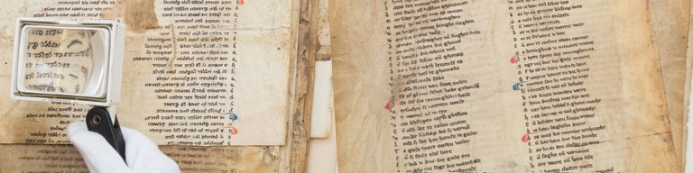 Bilder-134252-107787-zoomer angepasst.jpg